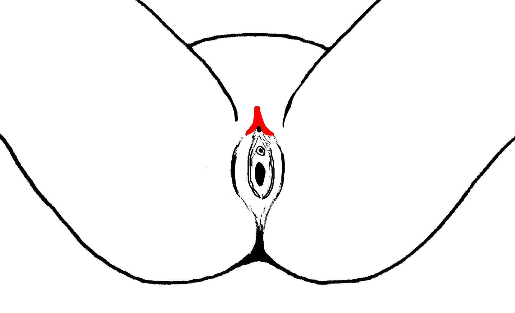 Entfernen klitoris vorhaut Klitorisvorhautreduktion bzw.