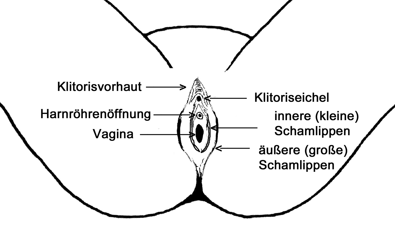 Geburt machen nach scheide enger Vagina nach